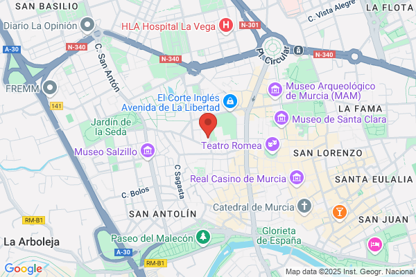 Inmobiliaria Nueva Murcia