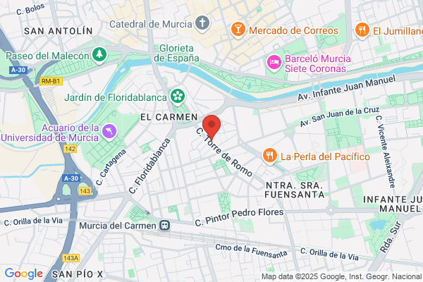 Libreria Y Papeleria Pinocho