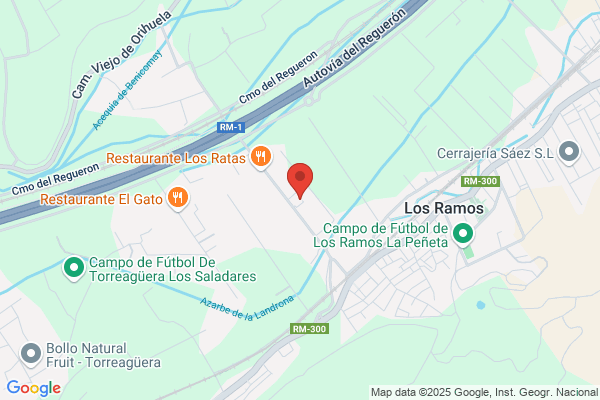 Taller Vereda De Las Palmeras S.L.