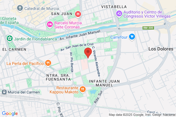 Institutode Ciencias Ortopedicas Y Traumatogicas S.L.