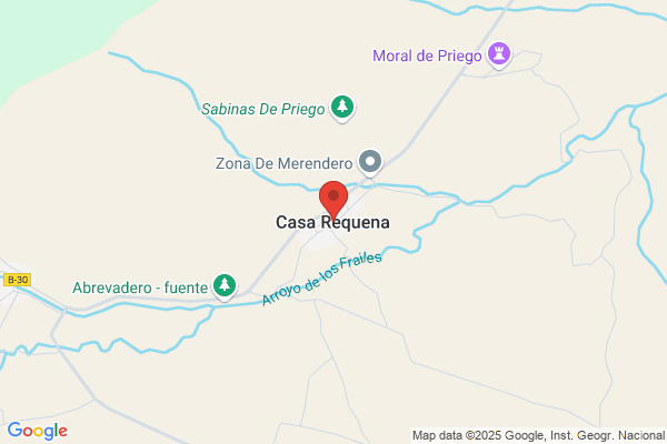 Requena Muñoz v.
