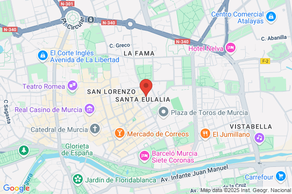 Museo De Bellas Artes De Murcia - informacion