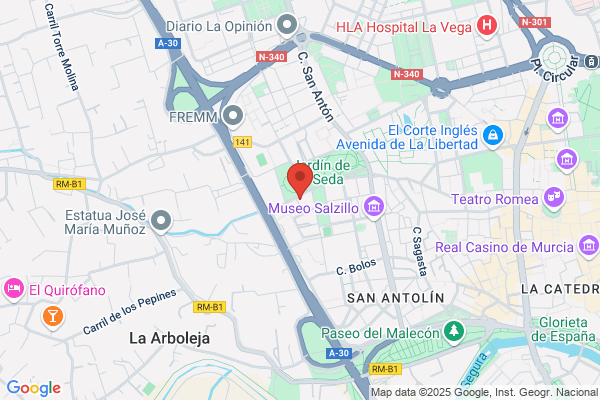 Fremap Mutua Accidentes Trabajo Enfermedades Profesionales S.Social