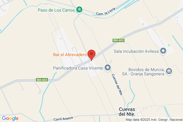 Panificadora Casa Vicente S.L.