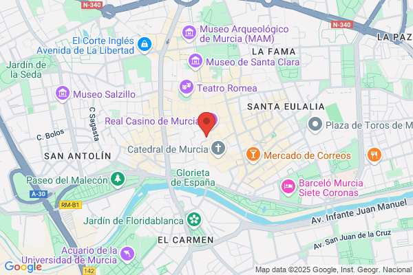 Partido Democratico De La Nueva Izquierda