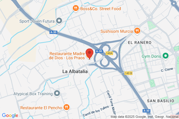 Piñana Vicente a.