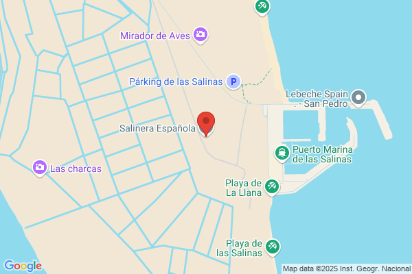 Salinera Española S.A.