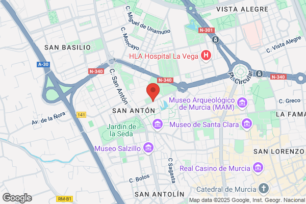 Carlos San Vicente & Asociados