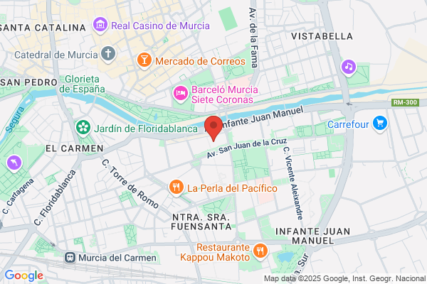 Telecomunicacion Instalaciones Y Servicio Asistencia S.L.