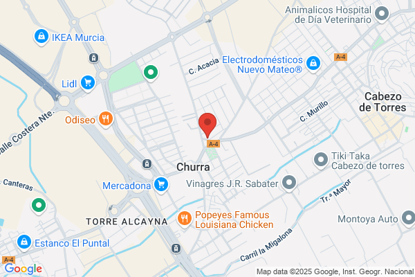 Tintoreria Sureste