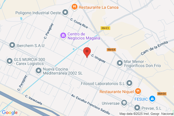 ROBERTO RAMIREZ MADRID