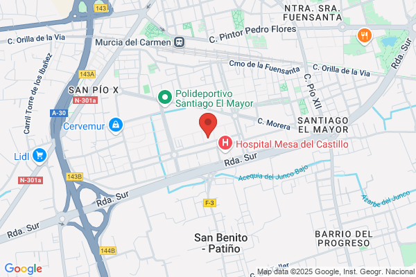 ALMANSA DETECTIVES