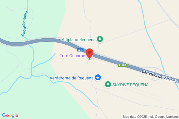 Toro Requena j.