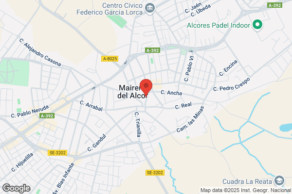 Papeleria Libreria El Giraldillo S.L.