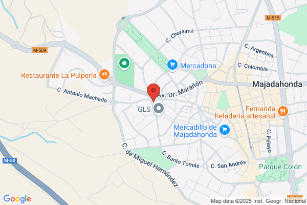 Servicios Y Gerencias S.A.