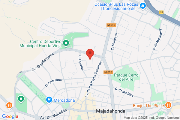 Terapias y coaching caballos