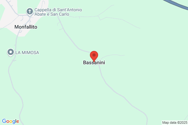 Bassanini Flamini g.