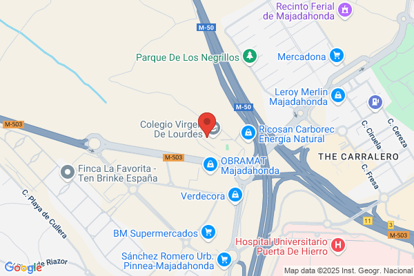 Colegio Virgen De Lourdes S. A.