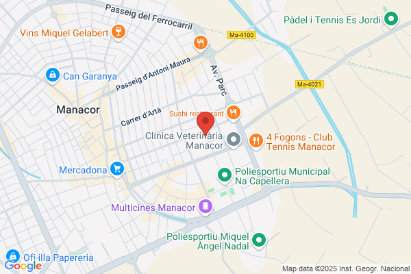 AF Tecnomotor Mecànica Automòbil