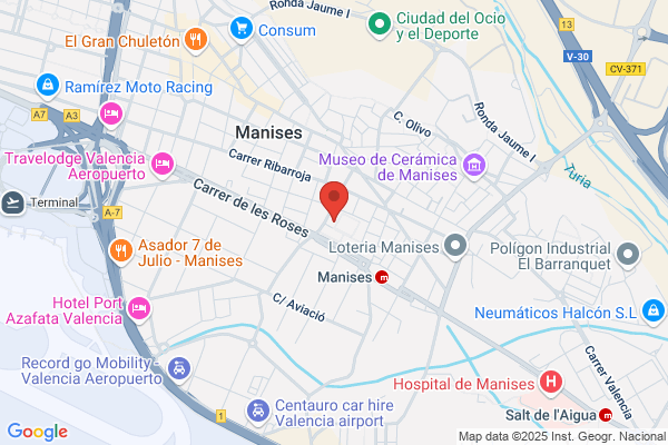 Mª Del Carmen González - Meneses García - Valdecasas