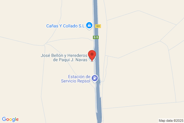Ruiz Fernandez p.