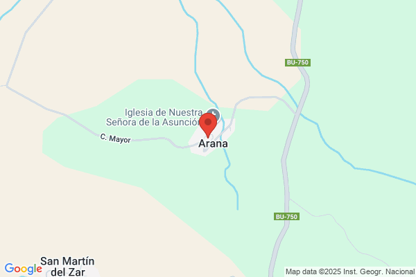 Arana Alberdi j.