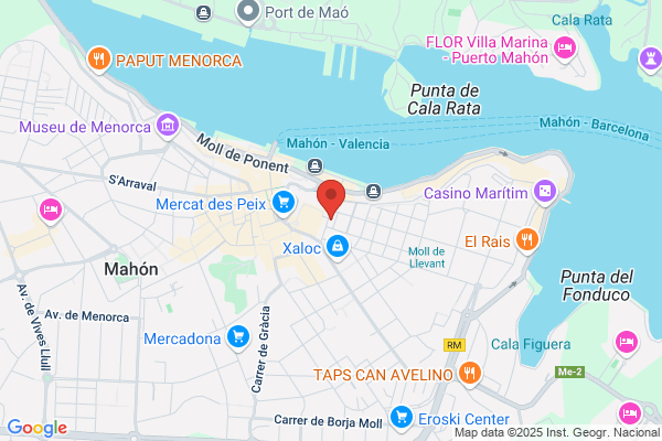 Fundacio Rubio Y Tuduri Andromaco