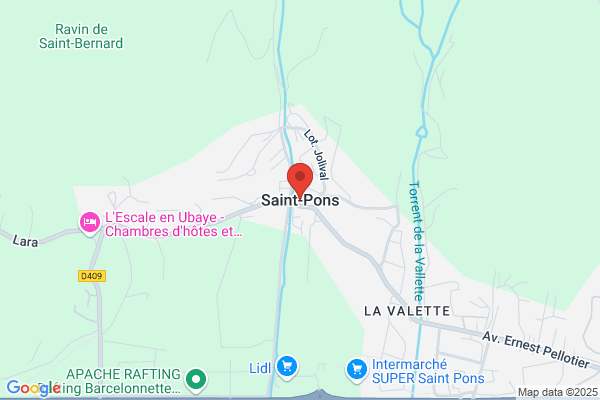 Pons Sans-Comptes