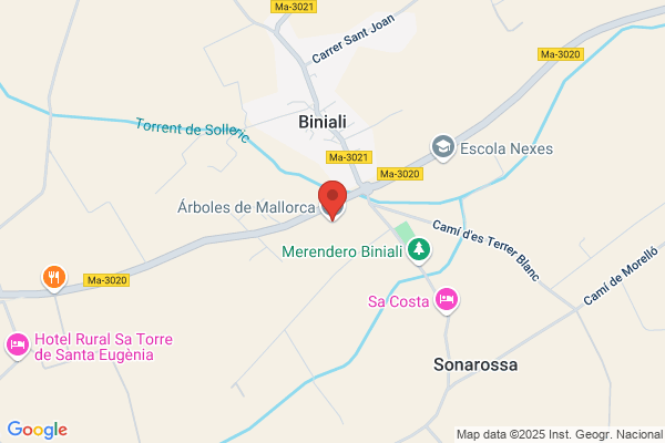 Árboles de Mallorca