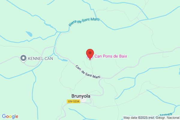 Pons Pons a.