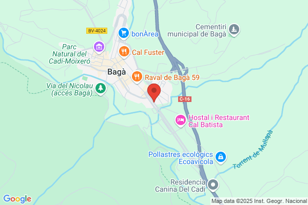 Pons Bagur f.