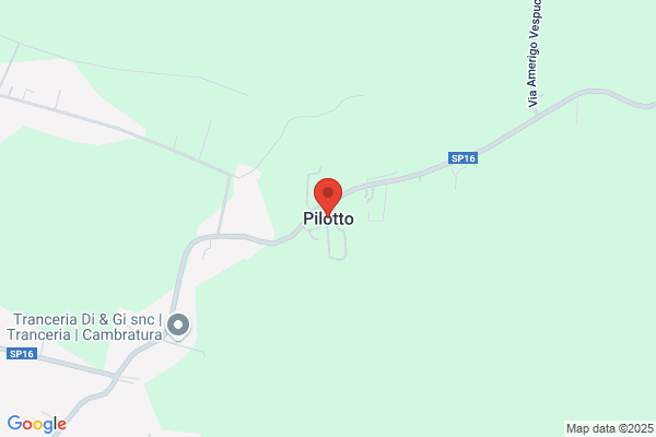 Pilotto luigi