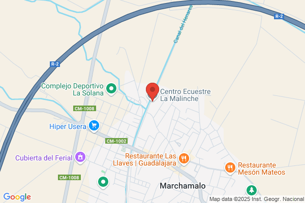 Centro Hipico La Solana S.L. - Escuela de Equitacion y pupilaje Excursiones con