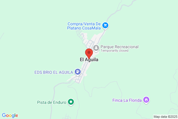 Del Aguila Gazquez i.