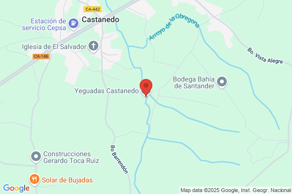 Ocejo Castanedo m.