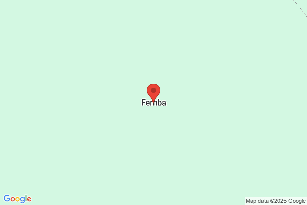 Femba S. A.