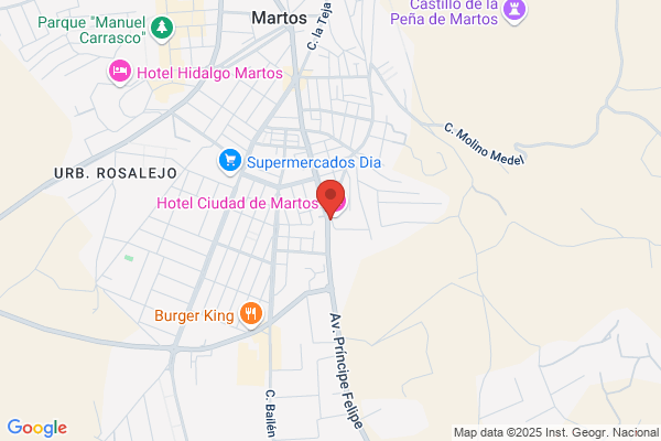 Hotel Ciudad de Martos