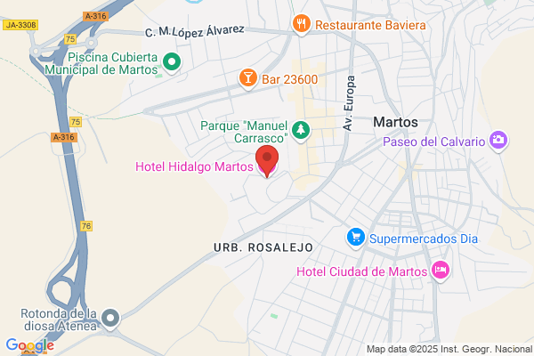 Hotel Hidalgo