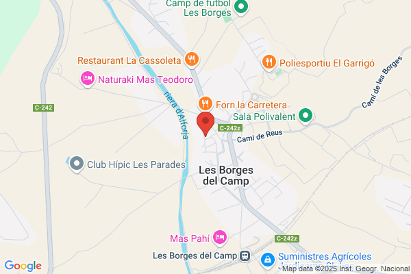 Ajuntament De Les Borges Del Camp