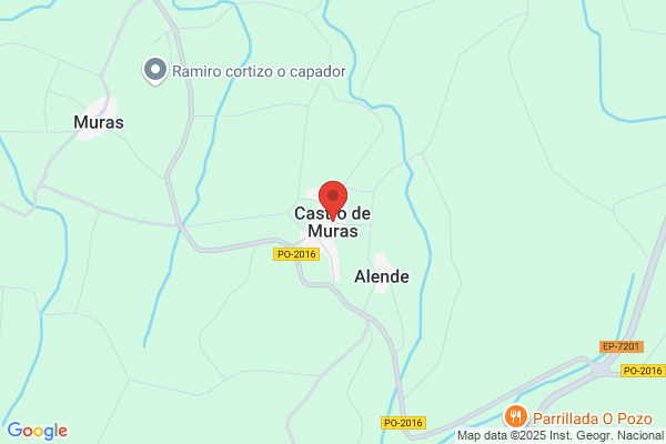 Muras Castro j.