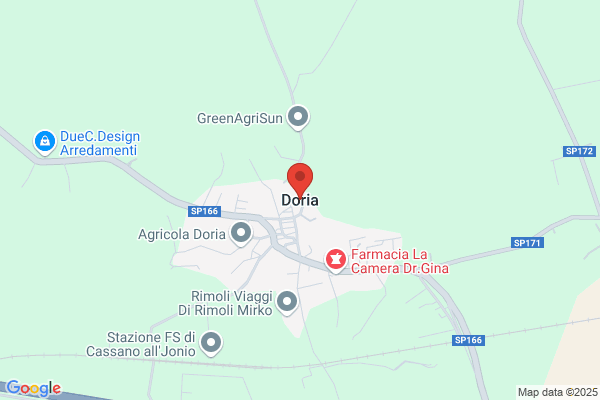 Anechina Doria m. C.