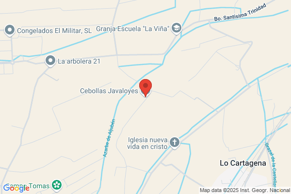 Cebollas Aljorsa