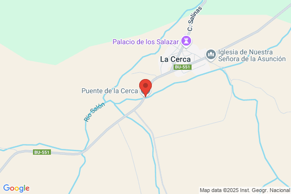 Puente Salazar a.