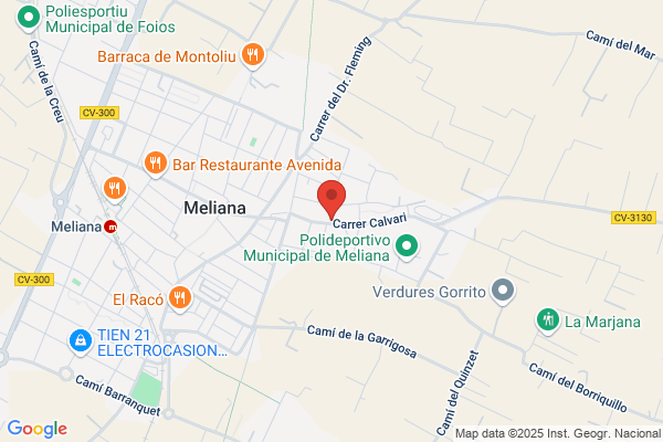 Meliana Informaticos S.L.