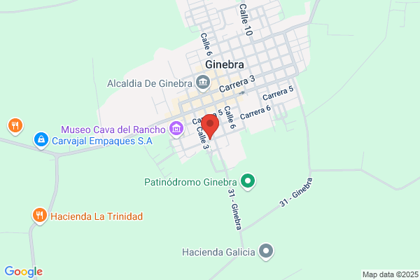 Viajes Ginebra S L