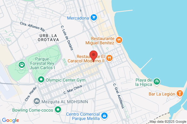 Pizzeria- Hamburgueseria El Nilo Ii