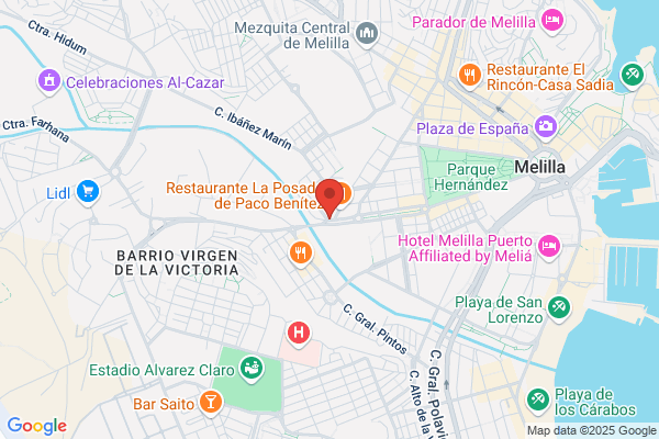 Alonso Romero d.