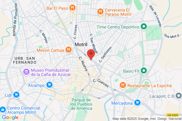 Endesa Servicios S.L. Sociedad Unipersonal