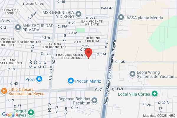 Look & Find Merida