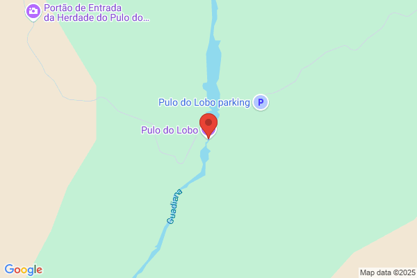 Lobo Meroño f.